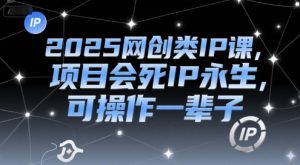 2025网创类IP课，项目会死IP永生，可操作一辈子-每日必学网