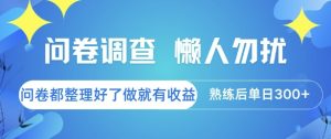 问卷调查，懒人勿扰，问卷都整理好了单价不等，做就有收益，熟练后单日3张【揭秘】-每日必学网