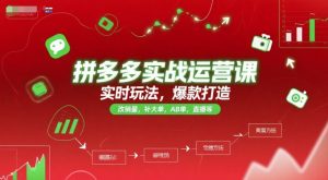 拼多多实战运营课，实时玩法，爆款打造，改销量，补大单，AB单，直播等（更新2025月）-每日必学网