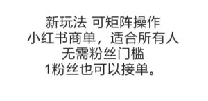 可矩阵操作，小红书商单新玩法，适合所有人，无需粉丝门槛，1粉丝也可以接单-每日必学网