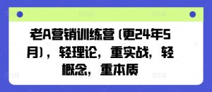 老A营销训练营(更25年6月)，轻理论，重实战，轻概念，重本质-每日必学网