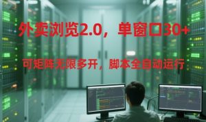 外卖浏览2.0，单窗口30+可矩阵无限多开，脚本全自动运行【揭秘】-每日必学网