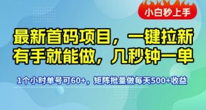 最新首码项目，一键拉新有手就能做，几秒钟一单，1个小时单号可60+，矩阵批量做每天5张【揭秘】-每日必学网