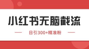 小红书截流同行客源，独家野路子获客玩法 日引200+暴力获客【揭秘】-每日必学网