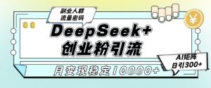 DeepSeek+创业粉精准引流，全新分享课4.0玩法，AI矩阵日引300+，多种变现方式，稳定月入1W-每日必学网