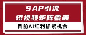 小红书某音sap赛道引流获客 自热矩阵日引200+【揭秘】-每日必学网