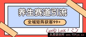 小红书某音养生领域引流获客 自热系列日引 200 余-每日必学网