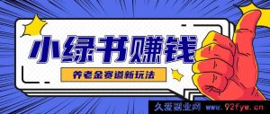 小绿书养老金领域赚钱思路，借助业余时光轻松运作月进千元的副业项目-每日必学网