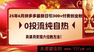 以下几个供参考，你可根据实际需求选用：
1. （14989期）25年6月拼多多零投流日引300+付费创业粉，纯自然卖课月赚六位数秘籍
2. （14989期）25年6月拼多多最新日引300+付费创业粉，无投流纯自然卖课月入六位数实操
3. （14989期）25年6月拼多多不投流日引300+付费创业粉，靠卖课月变现六位数新玩法-每日必学网
