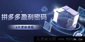（15005期）拼多多盈利蜕变：告别烧钱推广，开启印钞模式，全新底层逻辑全解（6月全新版）-每日必学网