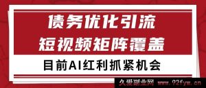 小红书某音债务优化领域引流获客秘籍 自动矩阵轻松日引200+流量密码-每日必学网