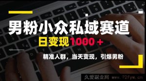 （15092期）男粉小众私域新赛道揭秘，轻松日赚1000+，锁定精准人群，快速当天变现-每日必学网