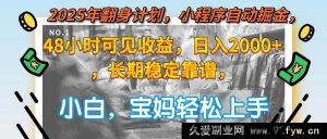 （15082期）2025年逆袭攻略，小程序轻松创富，48小时速见收益，日赚2000+且长期稳赚不赔！-每日必学网