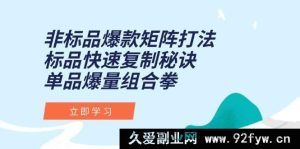 （15068期）非标品爆款打造新矩阵，标品极速复制秘籍，单品爆量全新攻略-每日必学网