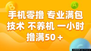 （15059期）全新手机零撸秘籍：无需养机，专业技术一小时轻松赚50+-每日必学网