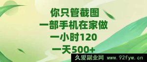 （15039期）仅用一部手机在家轻松操作，随手截图就能日赚500+，时薪可达120！-每日必学网
