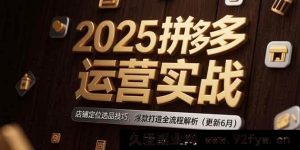 （15235期）2025拼多多运营新攻略：解锁店铺定位选品秘籍，爆款打造全程深度剖析（6月更新版）-每日必学网