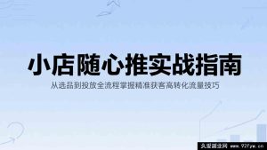 小店随心推秘籍：选品到投放全链路精通，精准抓取高转化流量获客实战攻略-每日必学网