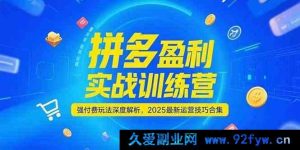 《拼多多盈利秘籍：2025强付费玩法实战特训营，最新运营技巧全揭秘》-每日必学网