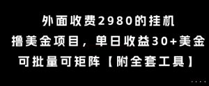外面收费2980的挂G撸美金项目，单日收益30+美金，可批量可矩阵【揭秘】-每日必学网