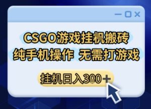 CSGO游戏挂G搬砖，小白纯手机即可操作，不用电脑打游戏，日入3张+，副业网创项目【揭秘】-每日必学网