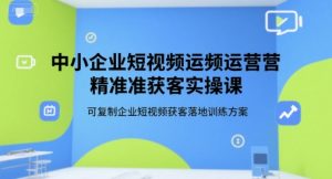 中小企业短视频运营精准获客实操课，可复制企业短视频获客落地训练方案-每日必学网