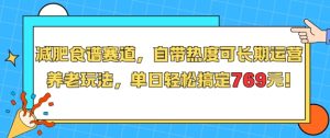 减肥食谱赛道，自带热度可长期运营，养老玩法，单日轻松搞定769-每日必学网