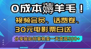 0成本薅羊毛!视频会员、话费卷、30元电影票白送，分享我如何靠转卖一天变现5张+【揭秘】-每日必学网