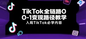 TikTok全链路0-1变现路径教学，入局TikTok必学内容-每日必学网