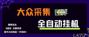 大众采集全自动玩法，新手小白轻松一天5张+，操作简单零成本【揭秘】-每日必学网