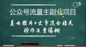 公众号流量主副业项目，美女图片+文章混合模式操作流量爆棚-每日必学网