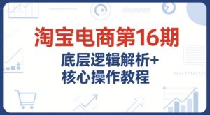 淘宝电商第16期，底层逻辑解析+核心操作教程，运营、推广提升能力的必学课程+配套资料-每日必学网
