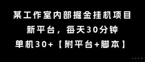 某工作室内部掘金挂G项目，新平台，每天30分钟，单机30+【揭秘】-每日必学网