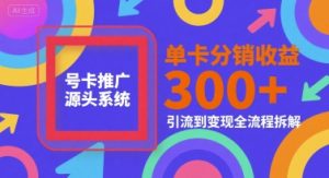 号卡推广源头系统，单卡分销收益3张+，引流到变现全流程拆解【揭秘】-每日必学网