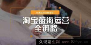淘宝小众类目蓝海运营全流程，从选品至流量变现的突破方案-每日必学网