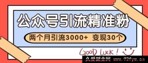 公众号私域引流获客，软文推广打造个人IP每日引流30+，高效搭建专属私域流量阵地-每日必学网