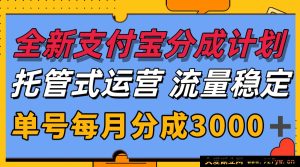 全新支付宝分成项目代运营，独门技术保障，收益平稳，单号月赚超3000-每日必学网