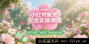 小红书聚光平台投流实战课，聚光广告推广、数据解析、实现低成本高效获客-每日必学网