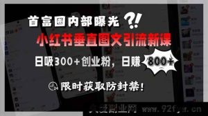 （15313期）商业圈揭秘小红书全新垂直图文引流课，日引300+创业精准粉，日入800+，速来-每日必学网
