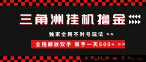 （15289期）全新三角洲挂机模式，稳定不封，单窗盈利20+，新手日赚500+的傻瓜式搬砖秘籍-每日必学网