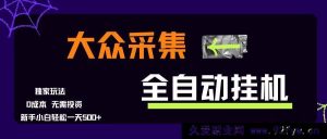 （15348期）大众采集超简易玩法，新手日赚500+，零成本上手快-每日必学网