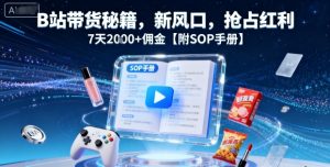 B站带货秘籍，新风口，抢占红利，7天2k+佣金【附SOP手册】-每日必学网