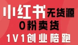 小红书无货源0粉电商课，开店准备、选品策略、笔记撰写、视频剪辑、数据分析、账号打造、资料文档-每日必学网