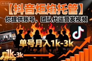 【抖音炬焰托管】你提供账号，团队代运营发视频，单号月入1k+【揭秘】-每日必学网