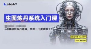 LibLibAI哩布哩布生图炼丹系统入门课，从生图到炼丹，只学这一门就够了-每日必学网