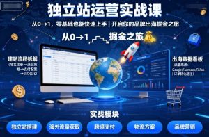 独立站运营实战课，​从0到1，零基础也能快速上手，开启你的品牌出海掘金之旅-每日必学网