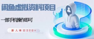 闲鱼虚拟资料项目，每天一小时，新人日入5张-每日必学网