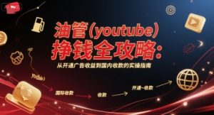 油管(youtube)挣钱全攻略：从开通广告收益到国内收款的实操指南（更新）-每日必学网