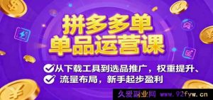 拼多多新手爆款单品运营秘籍：工具使用、选品推广、提权引流全攻略助你盈利-每日必学网