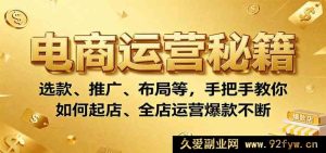 电商起店全攻略：爆款选品、高效推广与店铺布局，让你全店爆单不停-每日必学网